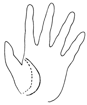 Иллюстрация к книге — Жизнь на ладони. Хиромантия как инструмент самопознания [i_069.jpg]