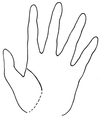 Иллюстрация к книге — Жизнь на ладони. Хиромантия как инструмент самопознания [i_070.jpg]