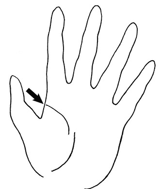 Иллюстрация к книге — Жизнь на ладони. Хиромантия как инструмент самопознания [i_071.jpg]