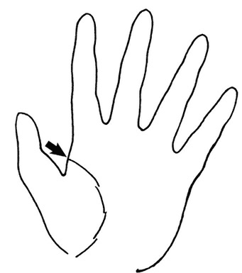 Иллюстрация к книге — Жизнь на ладони. Хиромантия как инструмент самопознания [i_073.jpg]