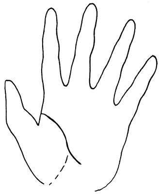 Иллюстрация к книге — Жизнь на ладони. Хиромантия как инструмент самопознания [i_074.jpg]