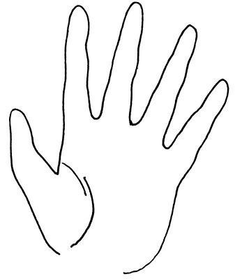 Иллюстрация к книге — Жизнь на ладони. Хиромантия как инструмент самопознания [i_075.jpg]