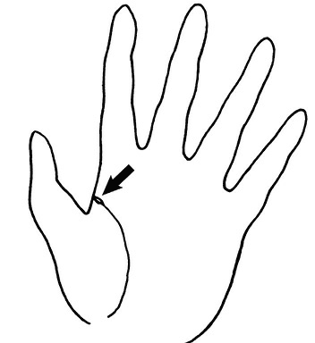 Иллюстрация к книге — Жизнь на ладони. Хиромантия как инструмент самопознания [i_077.jpg]