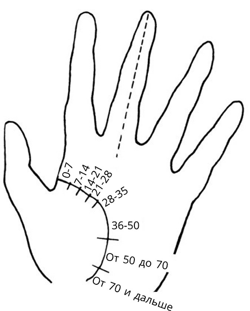 Иллюстрация к книге — Жизнь на ладони. Хиромантия как инструмент самопознания [i_080.jpg]