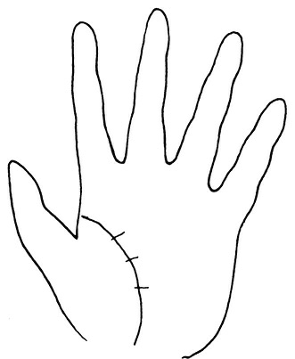 Иллюстрация к книге — Жизнь на ладони. Хиромантия как инструмент самопознания [i_081.jpg]