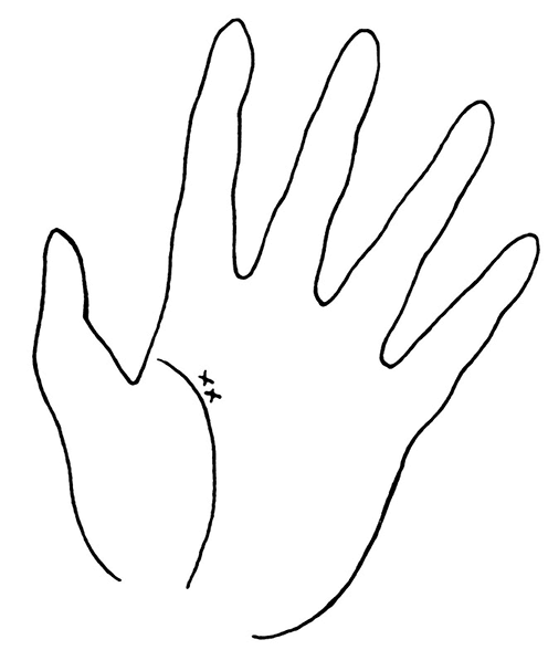 Иллюстрация к книге — Жизнь на ладони. Хиромантия как инструмент самопознания [i_082.jpg]