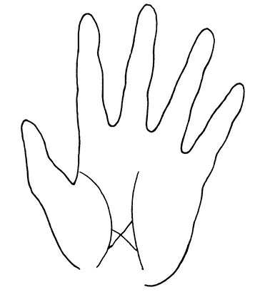 Иллюстрация к книге — Жизнь на ладони. Хиромантия как инструмент самопознания [i_083.jpg]