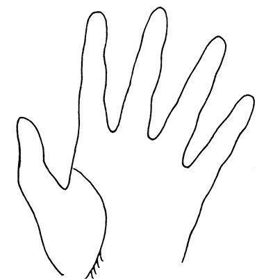 Иллюстрация к книге — Жизнь на ладони. Хиромантия как инструмент самопознания [i_084.jpg]