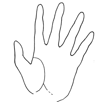 Иллюстрация к книге — Жизнь на ладони. Хиромантия как инструмент самопознания [i_086.jpg]