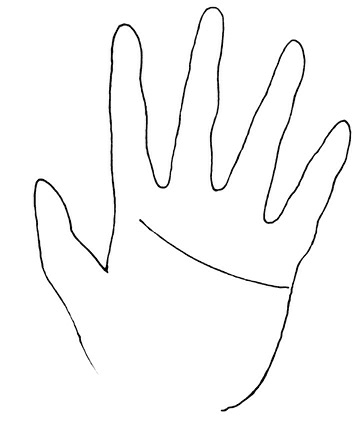 Иллюстрация к книге — Жизнь на ладони. Хиромантия как инструмент самопознания [i_087.jpg]