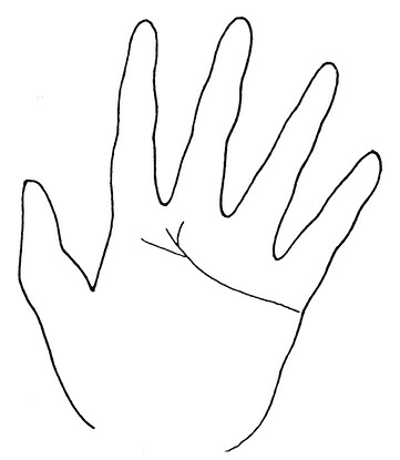 Иллюстрация к книге — Жизнь на ладони. Хиромантия как инструмент самопознания [i_095.jpg]