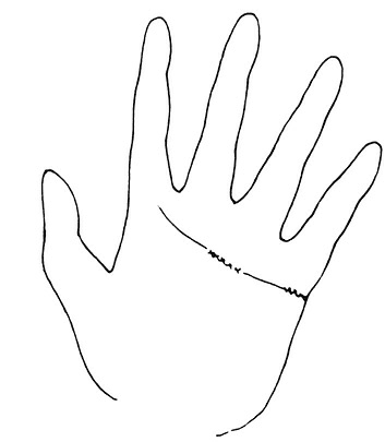 Иллюстрация к книге — Жизнь на ладони. Хиромантия как инструмент самопознания [i_101.jpg]