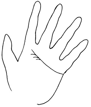 Иллюстрация к книге — Жизнь на ладони. Хиромантия как инструмент самопознания [i_105.jpg]