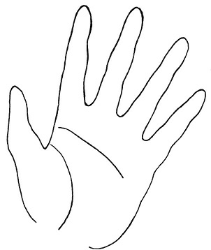 Иллюстрация к книге — Жизнь на ладони. Хиромантия как инструмент самопознания [i_109.jpg]