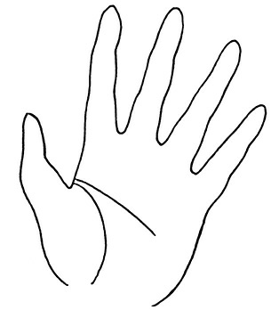 Иллюстрация к книге — Жизнь на ладони. Хиромантия как инструмент самопознания [i_110.jpg]