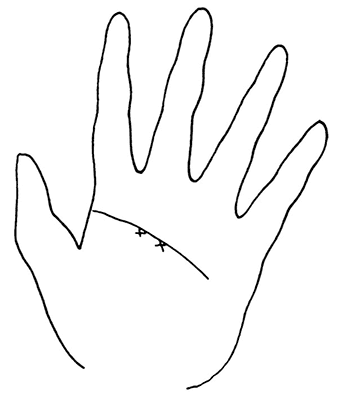 Иллюстрация к книге — Жизнь на ладони. Хиромантия как инструмент самопознания [i_118.jpg]