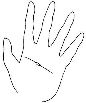 Иллюстрация к книге — Жизнь на ладони. Хиромантия как инструмент самопознания [i_119.jpg]