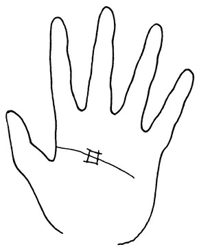 Иллюстрация к книге — Жизнь на ладони. Хиромантия как инструмент самопознания [i_120.jpg]