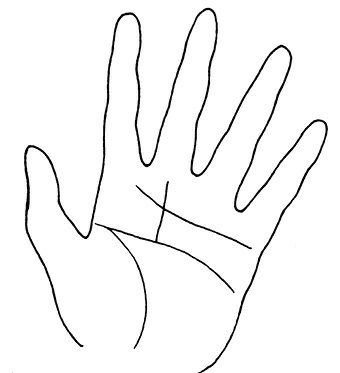 Иллюстрация к книге — Жизнь на ладони. Хиромантия как инструмент самопознания [i_126.jpg]