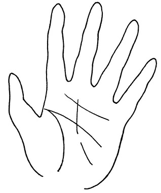 Иллюстрация к книге — Жизнь на ладони. Хиромантия как инструмент самопознания [i_129.jpg]