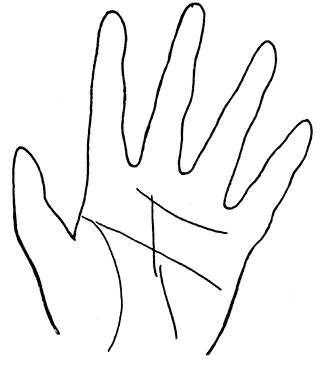 Иллюстрация к книге — Жизнь на ладони. Хиромантия как инструмент самопознания [i_130.jpg]