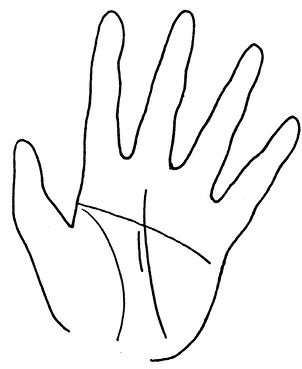 Иллюстрация к книге — Жизнь на ладони. Хиромантия как инструмент самопознания [i_132.jpg]