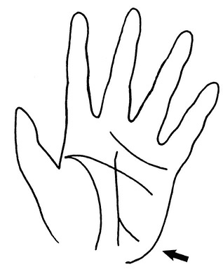 Иллюстрация к книге — Жизнь на ладони. Хиромантия как инструмент самопознания [i_134.jpg]