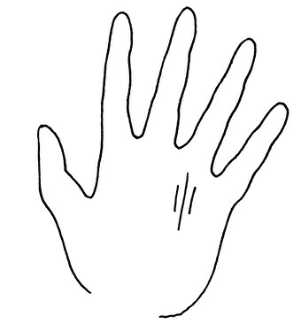 Иллюстрация к книге — Жизнь на ладони. Хиромантия как инструмент самопознания [i_137.jpg]