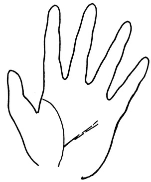 Иллюстрация к книге — Жизнь на ладони. Хиромантия как инструмент самопознания [i_139.jpg]