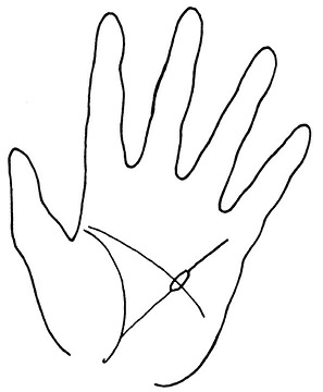 Иллюстрация к книге — Жизнь на ладони. Хиромантия как инструмент самопознания [i_140.jpg]