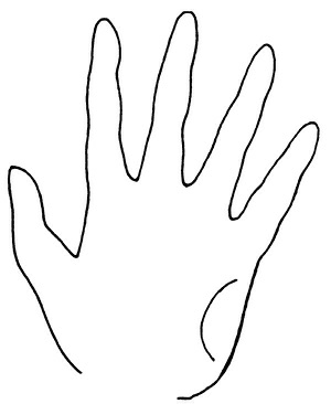 Иллюстрация к книге — Жизнь на ладони. Хиромантия как инструмент самопознания [i_141.jpg]