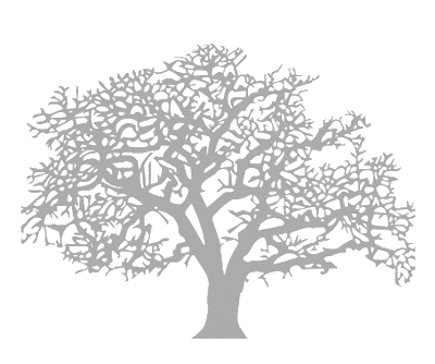 Иллюстрация к книге — Лесной хозяин [i_001.jpg]