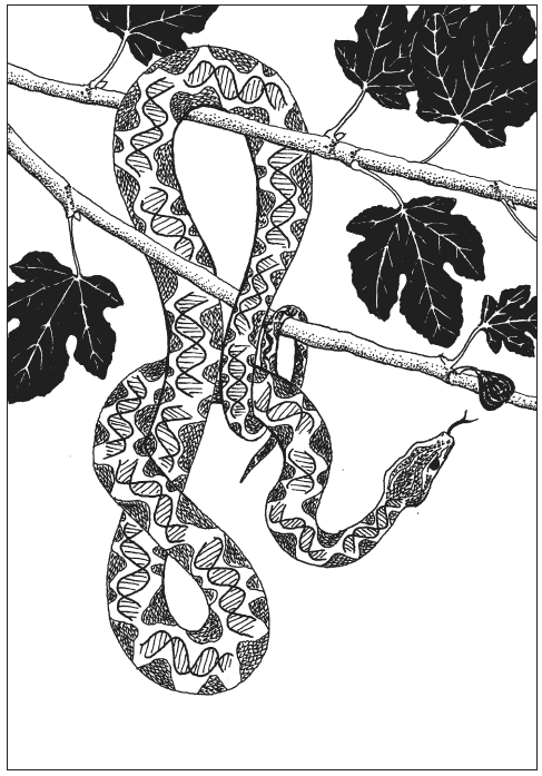 Иллюстрация к книге — Река, выходящая из Эдема. Жизнь с точки зрения дарвиниста [i_001.jpg]