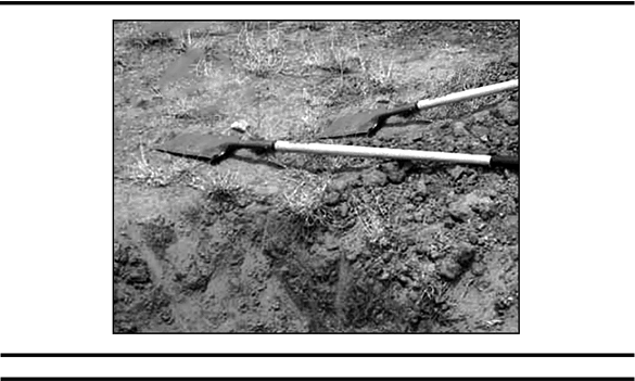 Иллюстрация к книге — Имя врага [i_005.jpg]