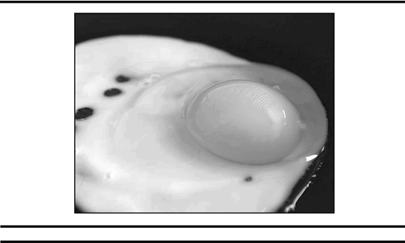 Иллюстрация к книге — Имя врага [i_009.jpg]