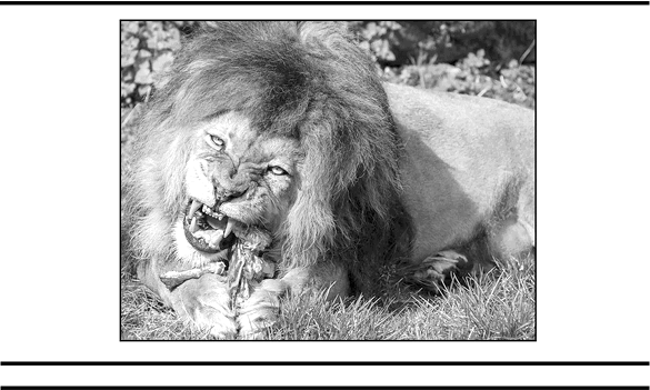 Иллюстрация к книге — Имя врага [i_028.jpg]