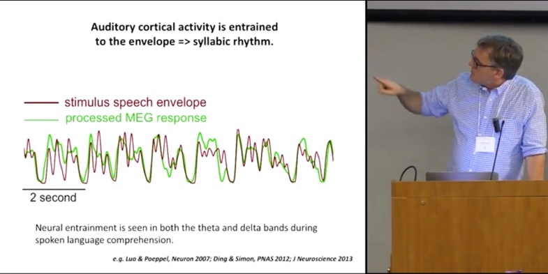 Иллюстрация к книге — Язык и мозг. Нейробиология раскрывает главную тайну человека [_10.jpg]
