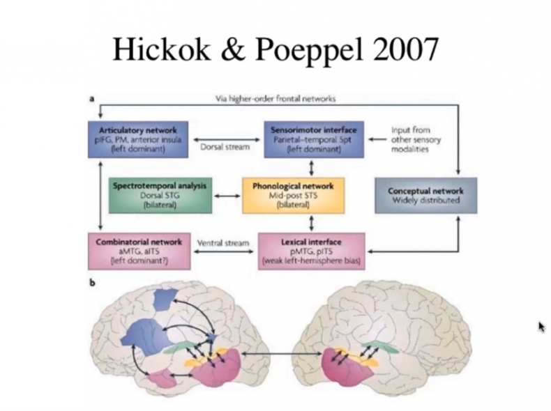Иллюстрация к книге — Язык и мозг. Нейробиология раскрывает главную тайну человека [_15.jpg]