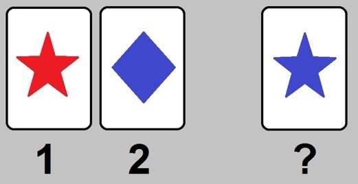 Иллюстрация к книге — Язык и мозг. Нейробиология раскрывает главную тайну человека [_27.jpg]