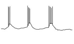 Иллюстрация к книге — Язык и мозг. Нейробиология раскрывает главную тайну человека [_7.jpg]