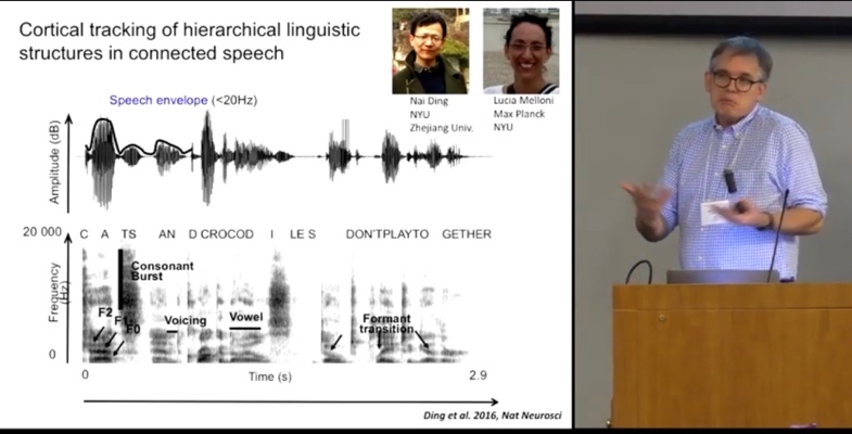 Иллюстрация к книге — Язык и мозг. Нейробиология раскрывает главную тайну человека [_9.jpg]