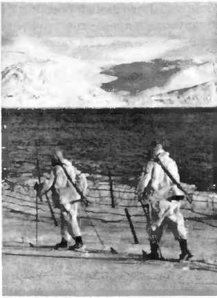 Иллюстрация к книге — История вермахта. Итоги [i_017.jpg]