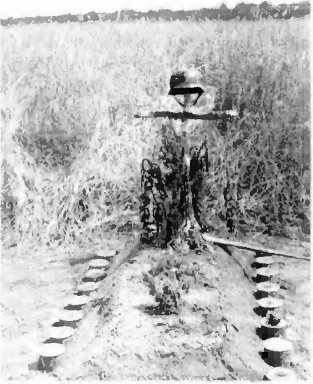 Иллюстрация к книге — История вермахта. Итоги [i_055.jpg]