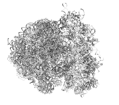 Иллюстрация к книге — Биология для тех, кто хочет понять и простить самку богомола [i_006.jpg]