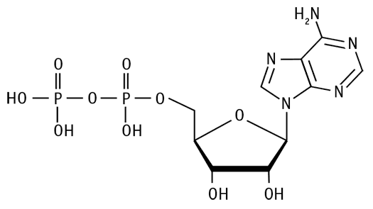 Иллюстрация к книге — Биология для тех, кто хочет понять и простить самку богомола [i_009.jpg]