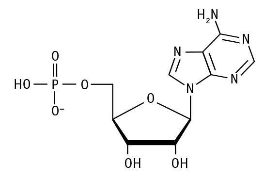 Иллюстрация к книге — Биология для тех, кто хочет понять и простить самку богомола [i_010.jpg]