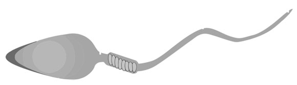 Иллюстрация к книге — Биология для тех, кто хочет понять и простить самку богомола [i_011.jpg]