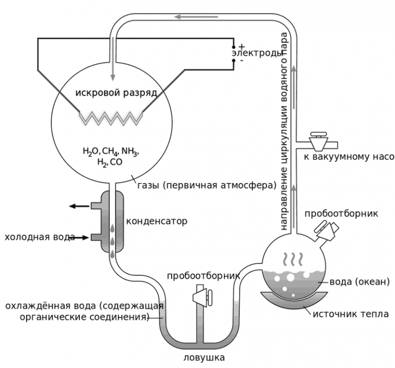 Иллюстрация к книге — Биология для тех, кто хочет понять и простить самку богомола [i_024.jpg]