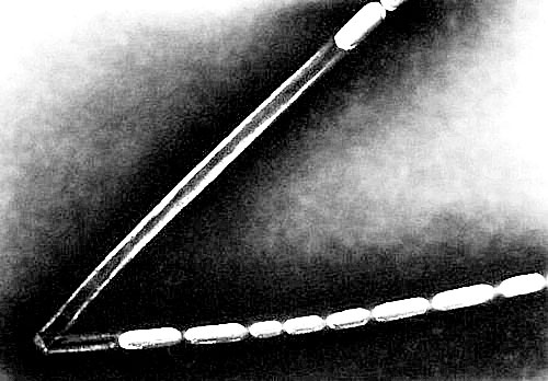 Иллюстрация к книге — Биология для тех, кто хочет понять и простить самку богомола [i_034.jpg]