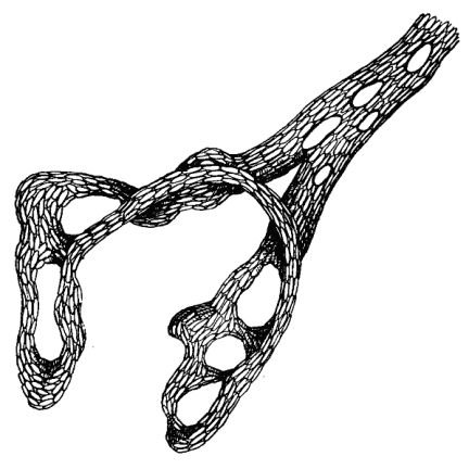 Иллюстрация к книге — Биология для тех, кто хочет понять и простить самку богомола [i_035.jpg]